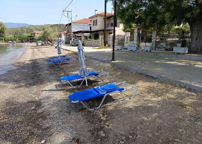 Homico 1 Lefokastro